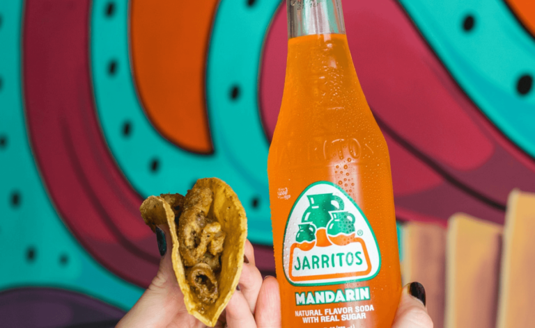 WordPress for Beginners – Master WordPress